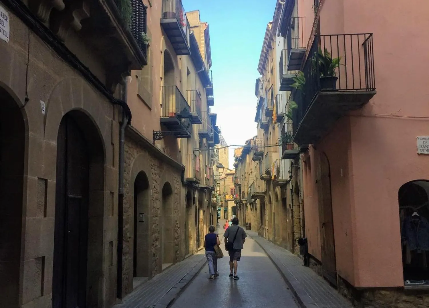 Hotel La Freixera Solsona
